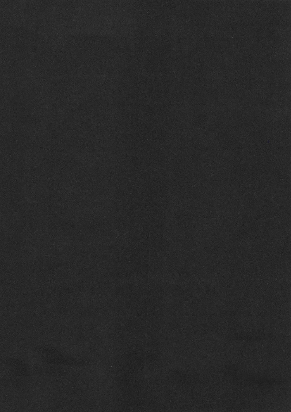 Ninomiya Ryouzo - Junketsu Maniac Seijo CXX ESP - Page 5