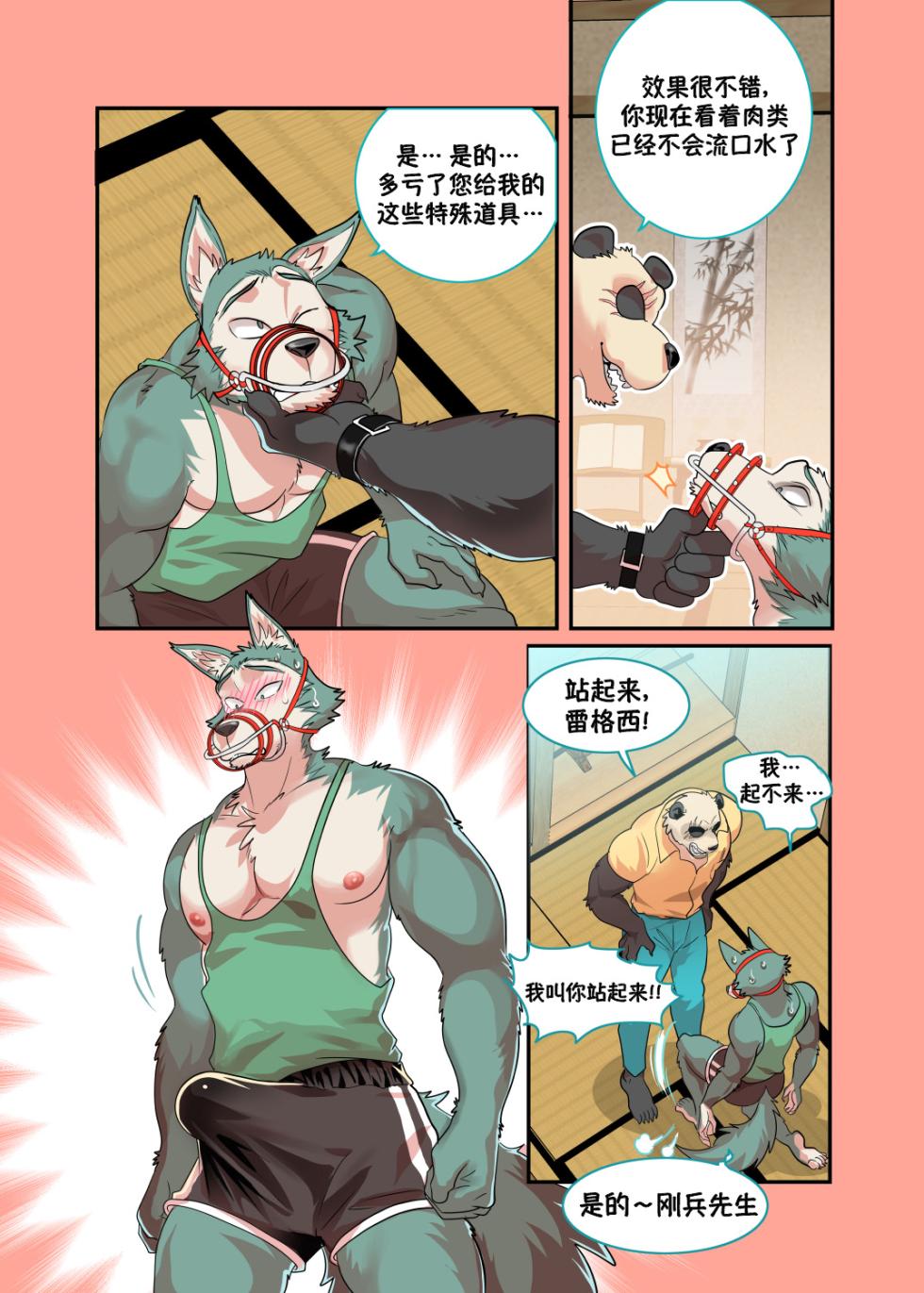 [Kuma Hachi] Panda`s Hell Training – BEASTARS熊猫的地狱特训—动物狂想曲 [Chinese] [李士奇汉化] - Page 4