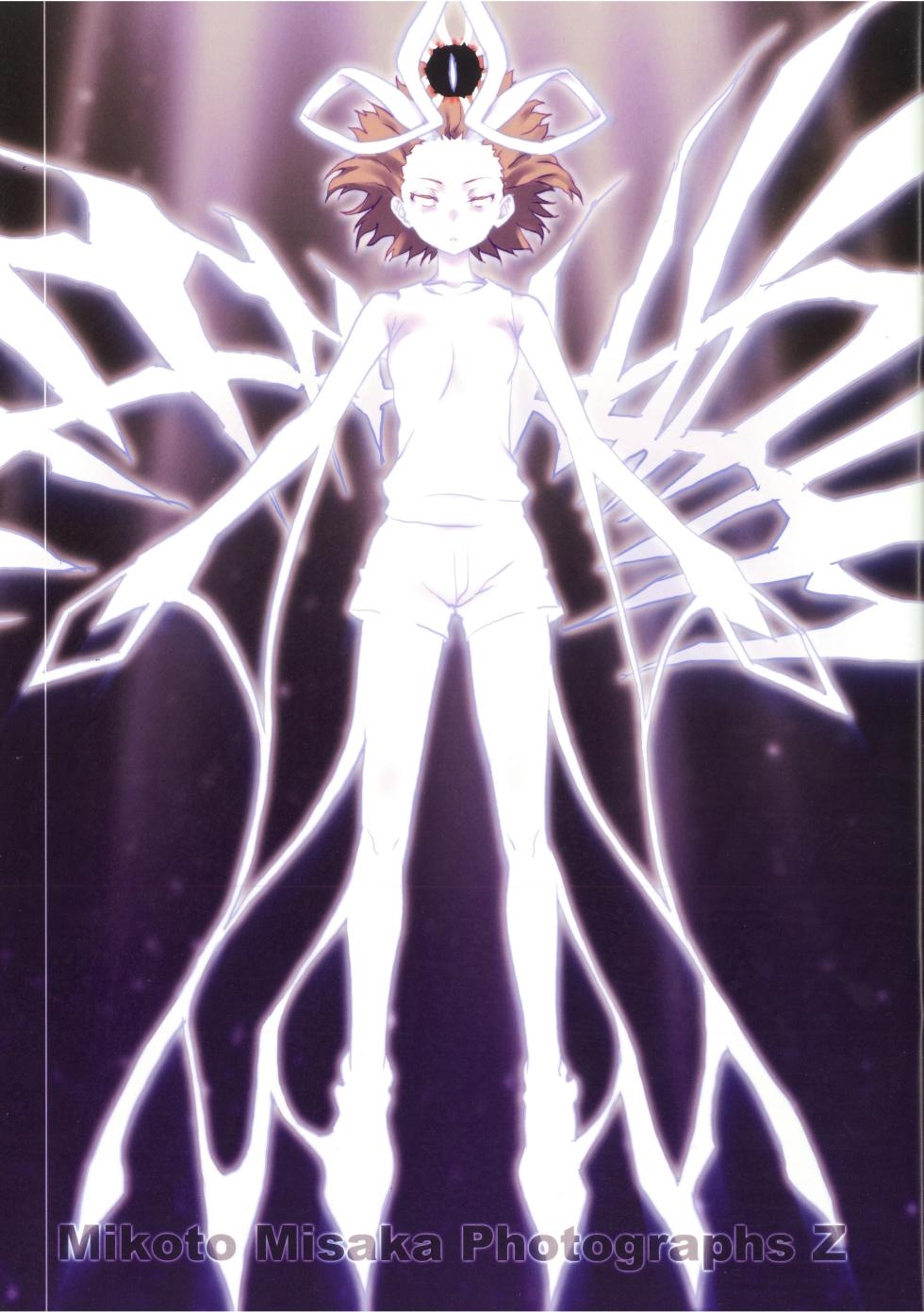 (C99) [Chillin Party (Raika9)] Misaka Mikoto Shashinshuu - Mikoto Misaka Photographs Z (Toaru Kagaku no Railgun) - Page 3