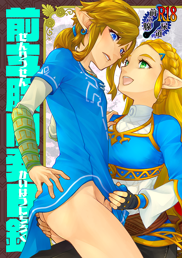 [ONP] Zenritsusen Kaihatsu Nichiroku | Daily Record of Prostate Development (The Legend of Zelda) (Sample) - Page 1