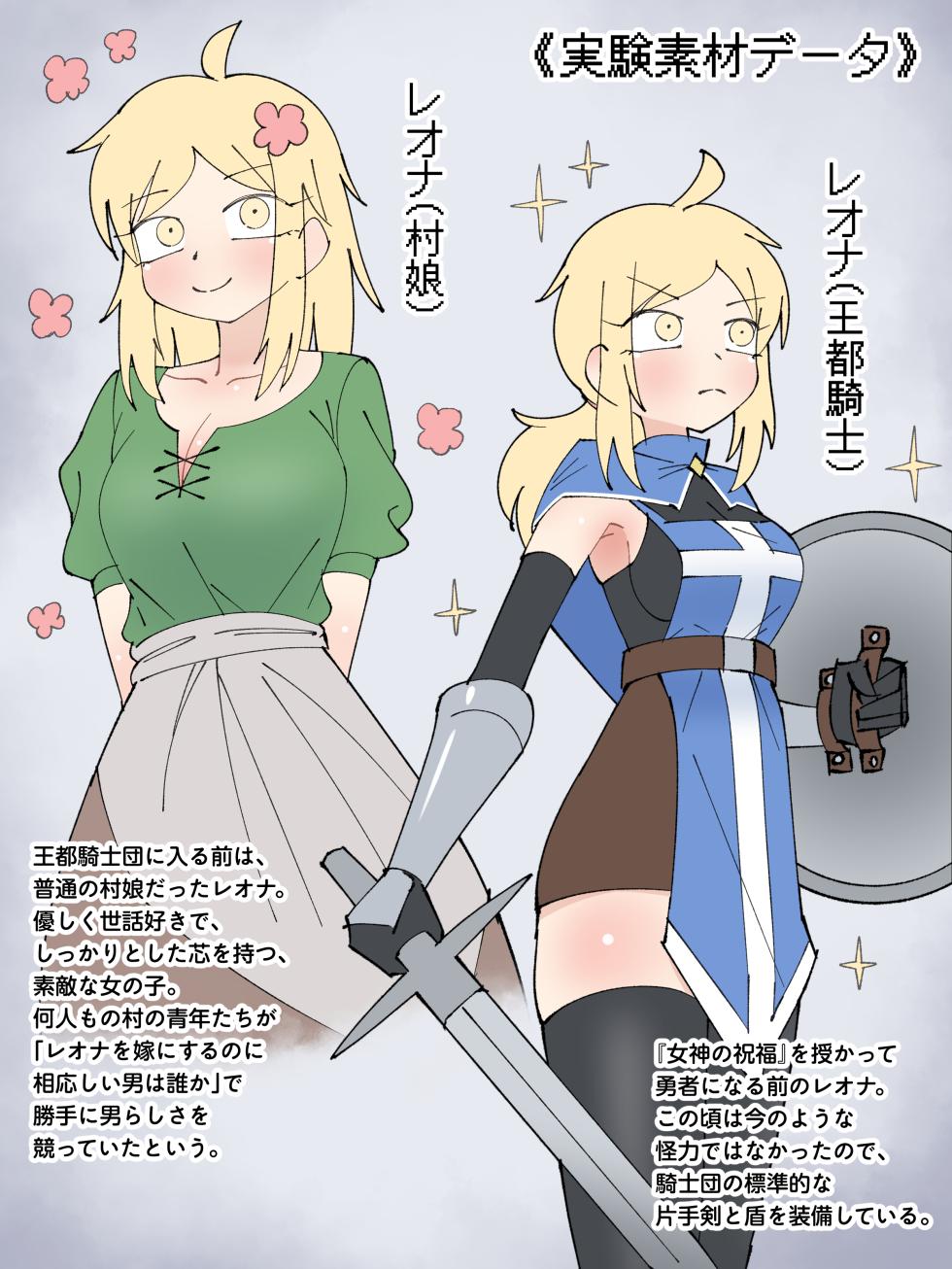 [mononobe] Experiment Report from the Demon King’s Army R&D Lab — Hero Leona: Spherical Compression Experiment — - Page 11