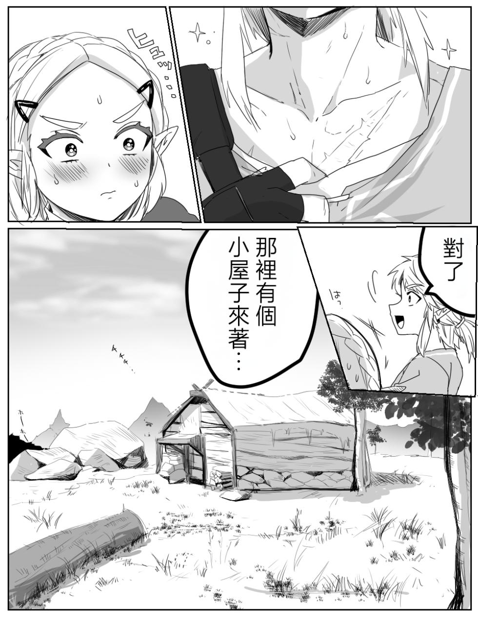 [Wasabi] 沒能忍住性慾的故事(The Legend of Zelda: Breath of the Wild)  [Chinese] [沒有漢化] - Page 5
