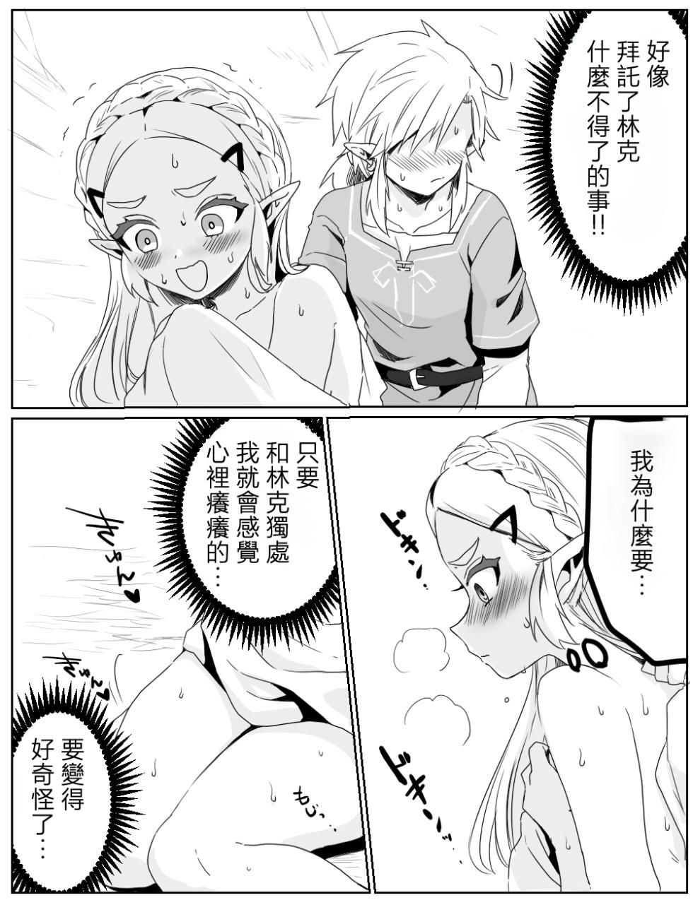 [Wasabi] 沒能忍住性慾的故事(The Legend of Zelda: Breath of the Wild)  [Chinese] [沒有漢化] - Page 7
