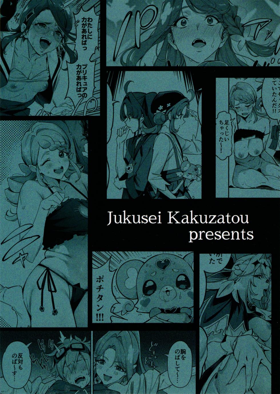 (C108) [Jukusei Kakuzatou (SugarBt)] Kyua Ekureru no Syoutai Nante Wakara Nakatta (Meitantei Precure!) - Page 24