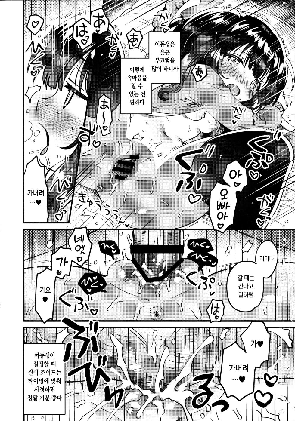 (Dai 6-kai Akihabara "Chou" Doujin-sai+) [squeezecandyheaven (Ichihaya)] Ikuukan no Imouto | 이공간의 여동생 [Korean] - Page 17