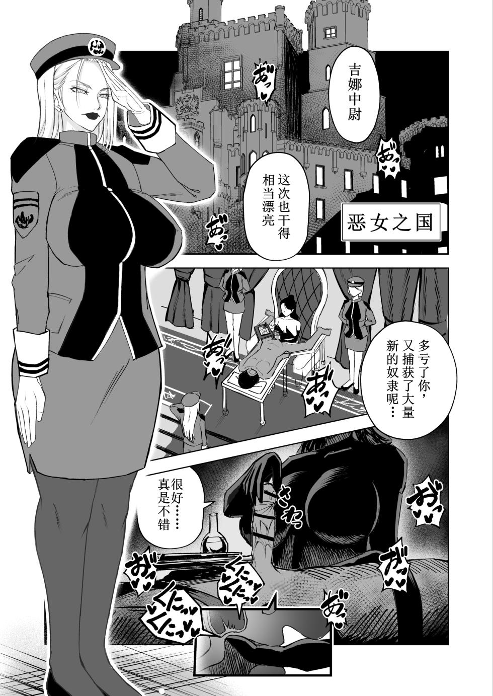 [Phase:E (Yasaka)] Akujo no Kuni no Chinpo Dorei [Chinese] [Digital] - Page 7