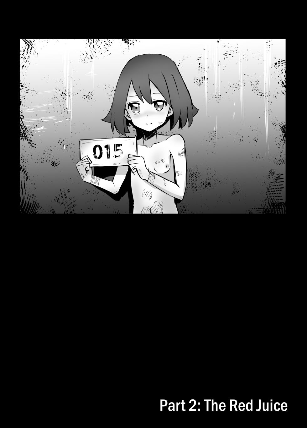 [Kurobabu] Haruka-chan Ryona (Pokémon) [English] [Higewashi] - Page 17