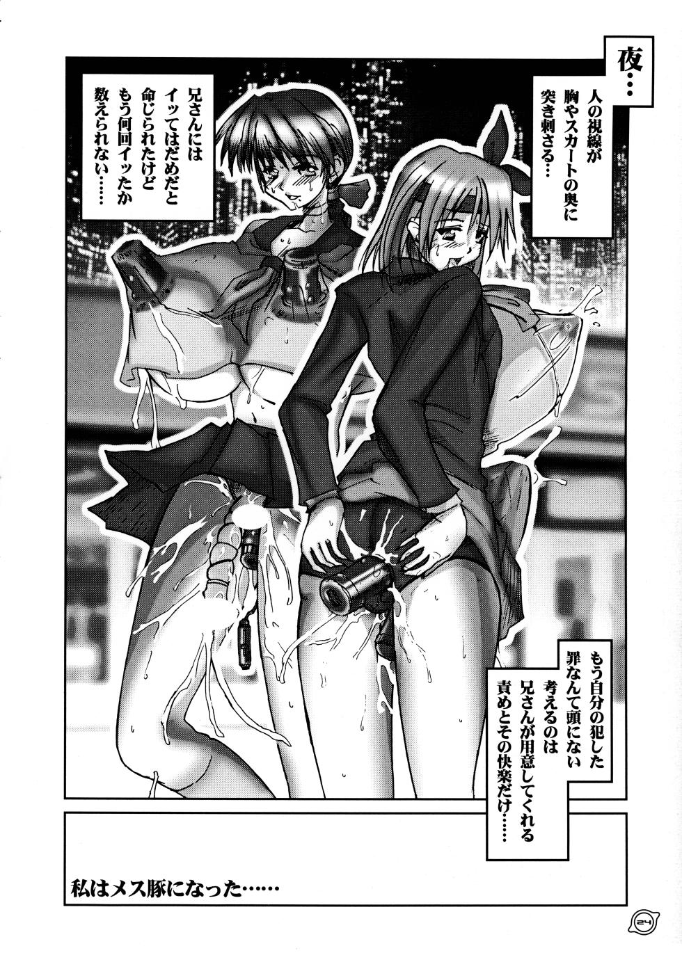 [HGH (HG Chagawa)] PLEATED GUNNER ZERO4 MILLENNIUM (Dead or Alive) - Page 24