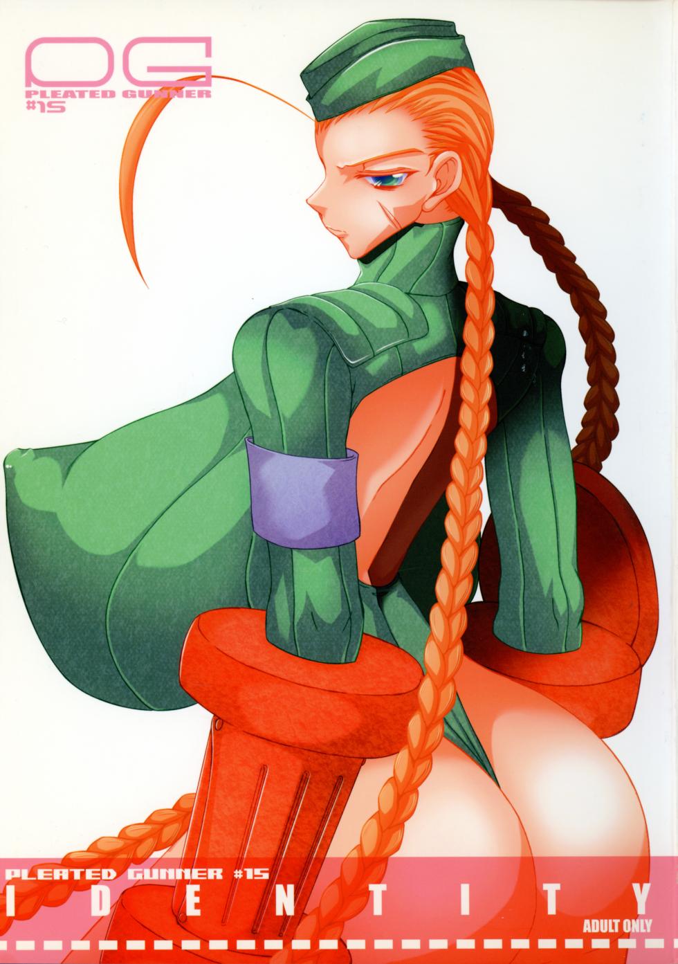 (C70) [HGH (HG Chagawa)] Pleated Gunner 15 - IDENTITY (Street Fighter) - Page 1