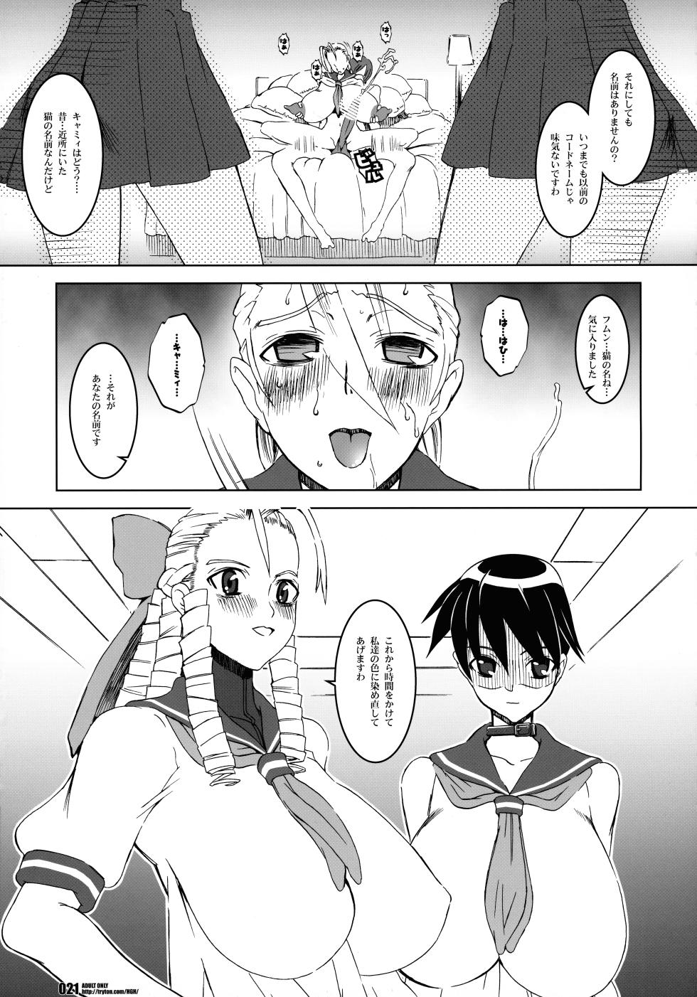 (C70) [HGH (HG Chagawa)] Pleated Gunner 15 - IDENTITY (Street Fighter) - Page 21