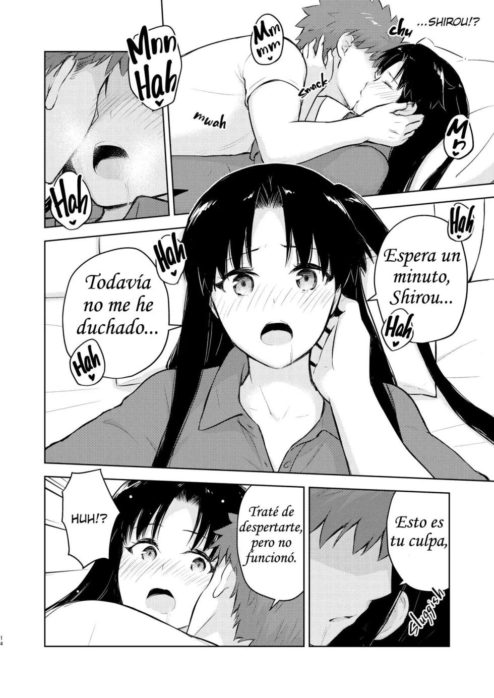 [Snowrich (Iida Toyoyuki)] Second Semester｜Segundo Semestre (Fate／stay night) [Spanish] [JFairy Traslate] [Decensored] [Digital] - Page 12