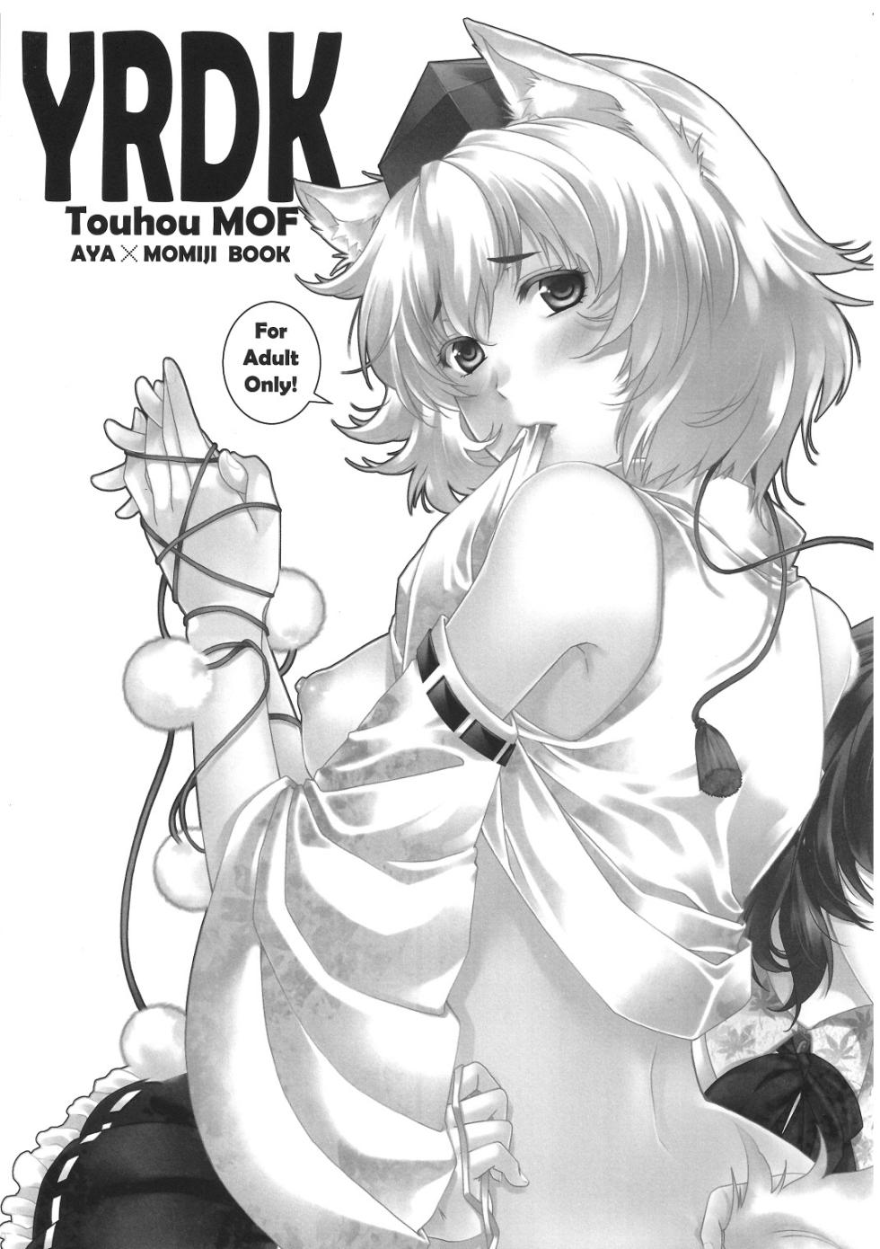 (COMIC1☆6) [HMA (Hiyoshi Hana)] YRDK (Touhou Project) [Chinese] [AI Translation] - Page 2
