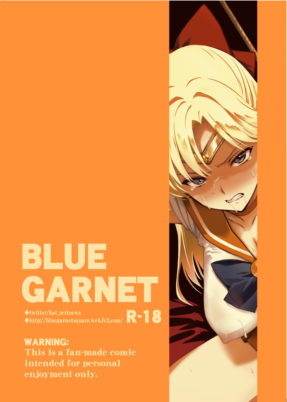 [BLUE GARNET (Serizawa Katsumi)] Sono Hoshi wa Yogosarete 9 (Bishoujo Senshi Sailor Moon) [Digital] - Page 25