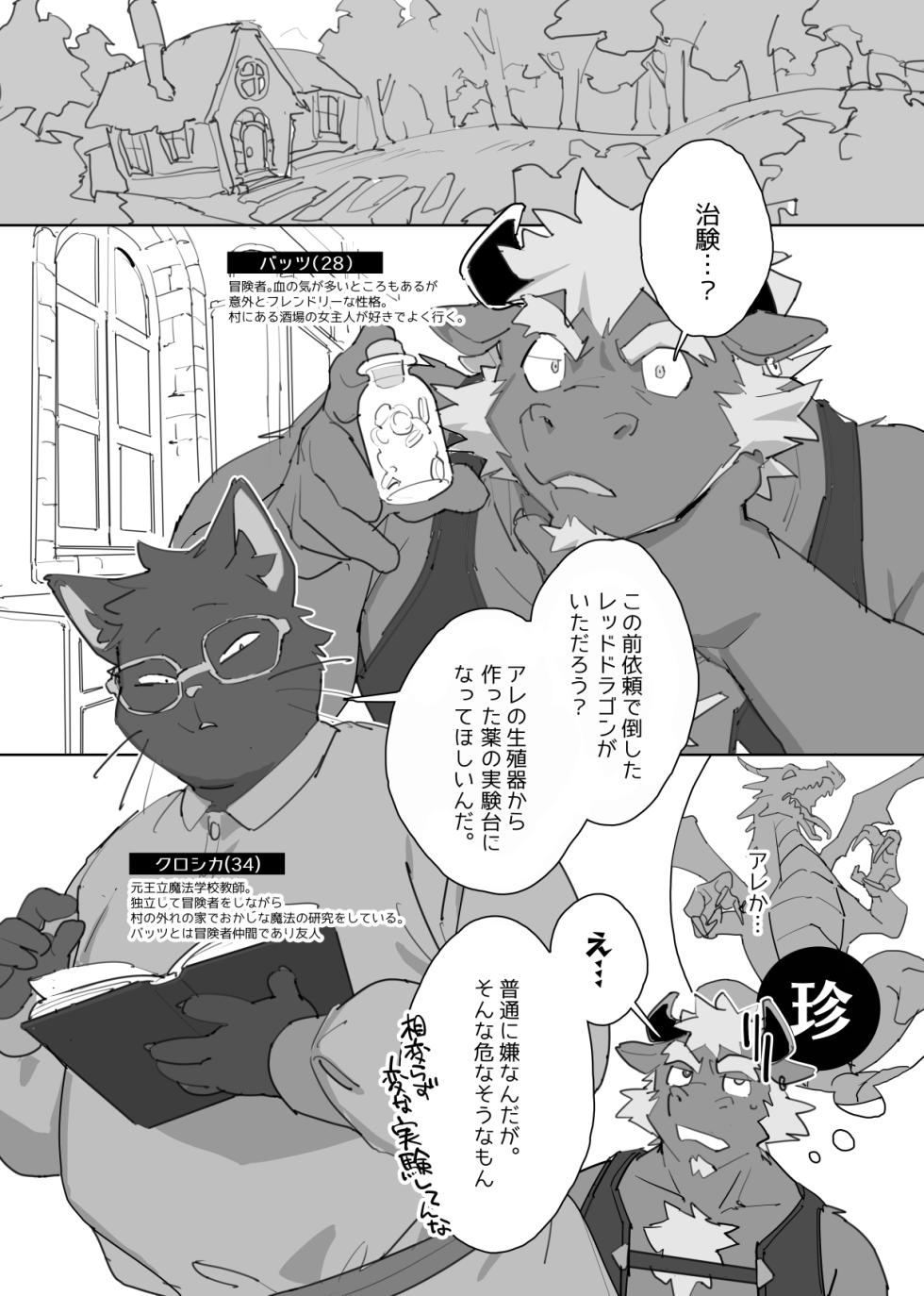 [HAM. (Konbu+)] Magical Erotic Clinical Trial [Digital] - Page 3