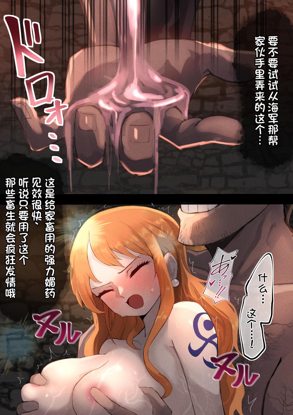 [Ikutontomato] Kairaku Jigoku - LEVEL 1 (One Piece) [Chinese] [酸菜魚ゅ°个人汉化] - Page 14
