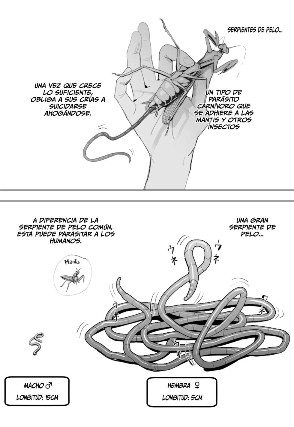 La gran serpiente de pelo - Page 1