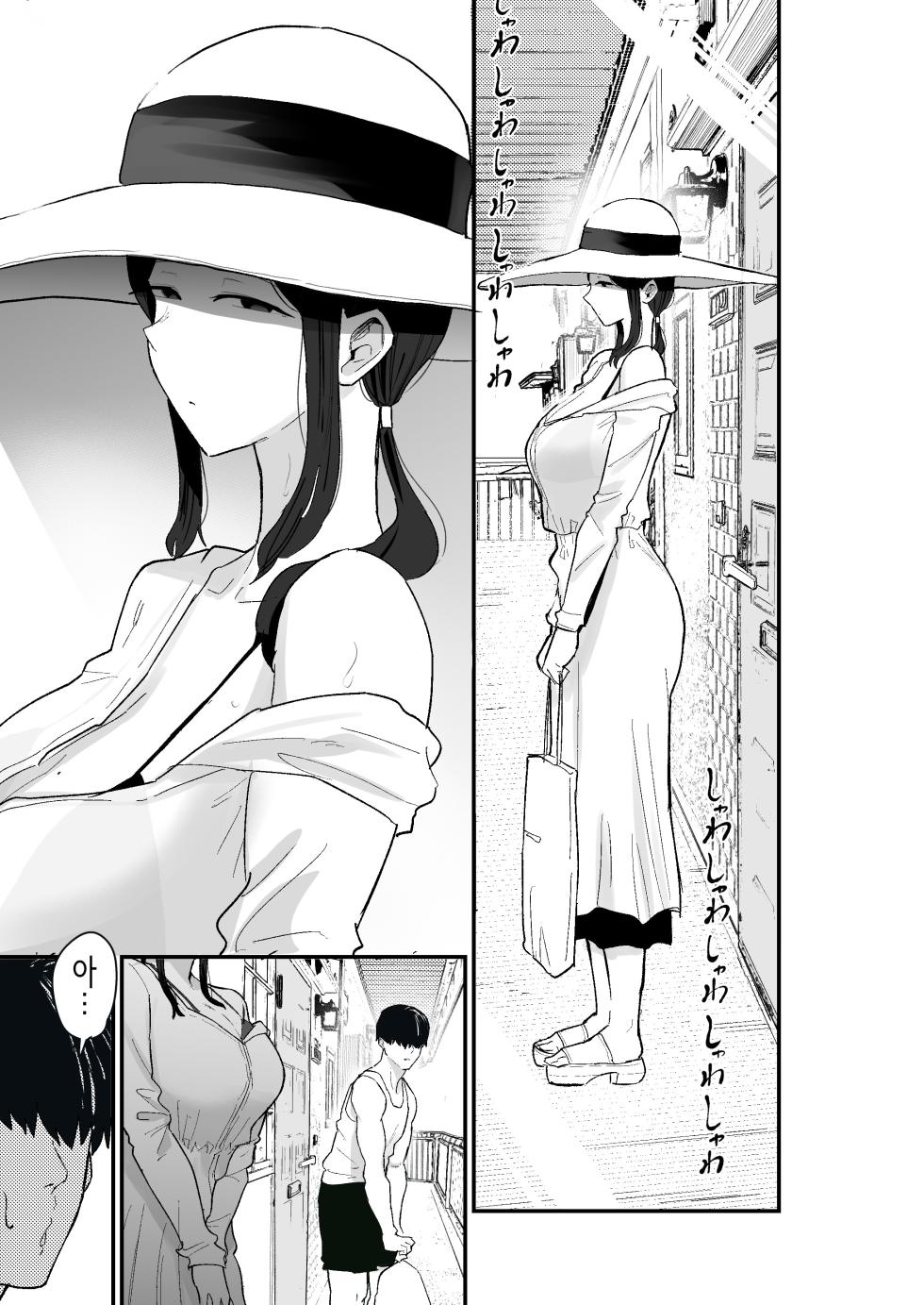 [Kamejirouya-san (Kametaro)] Taihai Tsuma 2 Taihaikei Hitozuma o Yachin Kawari ni Koki Tsukaeru Hanashi | 퇴폐아내 2 [Korean] - Page 17