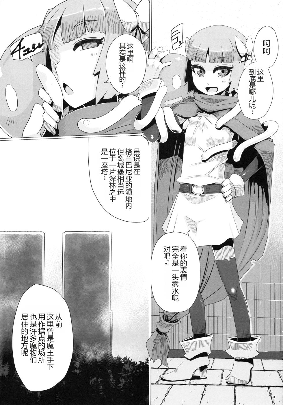 (C94) [A.S.G Group (Misonou)] Zoku Yamaoku e Ikou! (Dragon Quest V) [Chinese] - Page 4