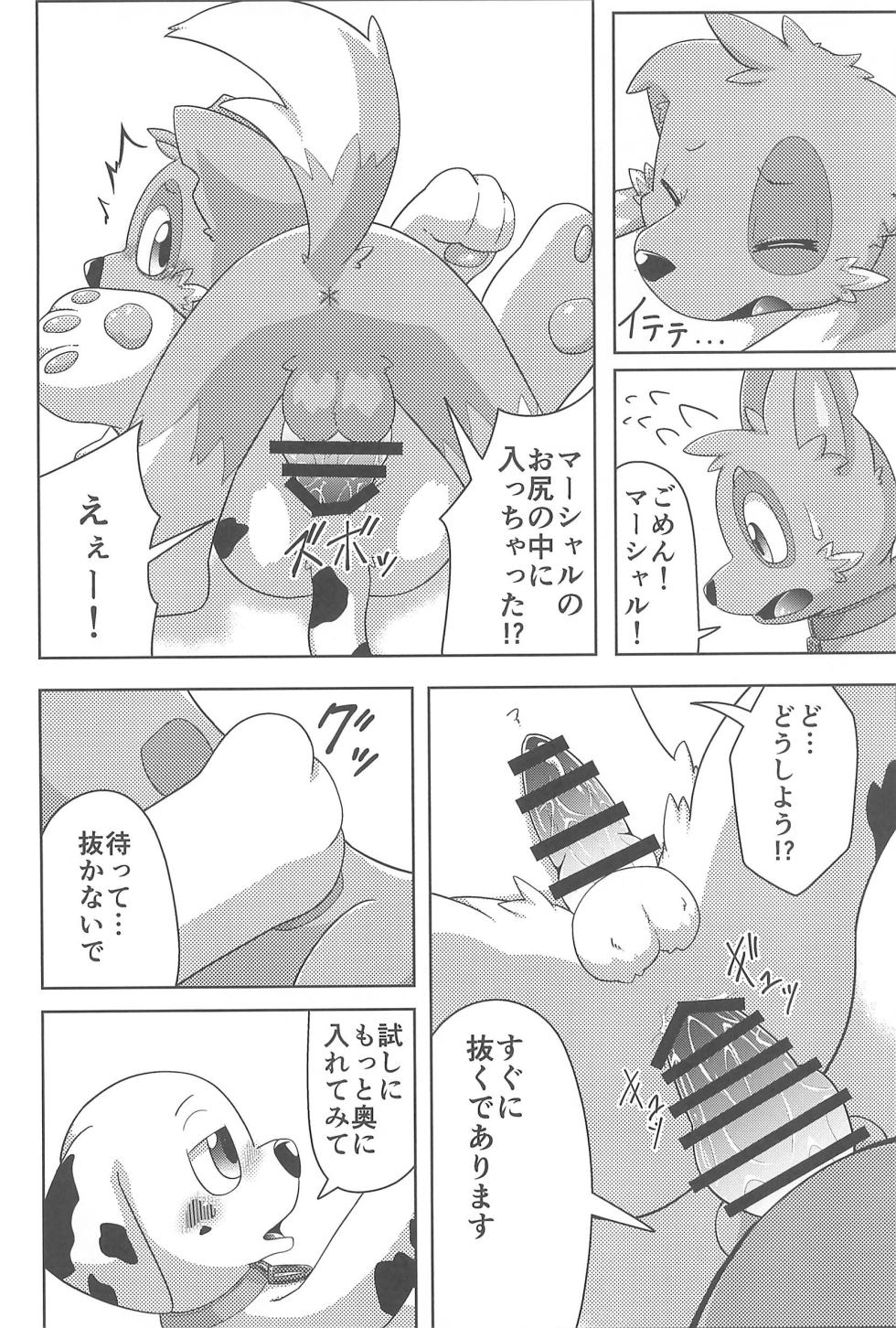 (Kansai Kamoket 11) [Amaterasu (Shiron)] Dengurigaeshi (Paw Patrol) - Page 20