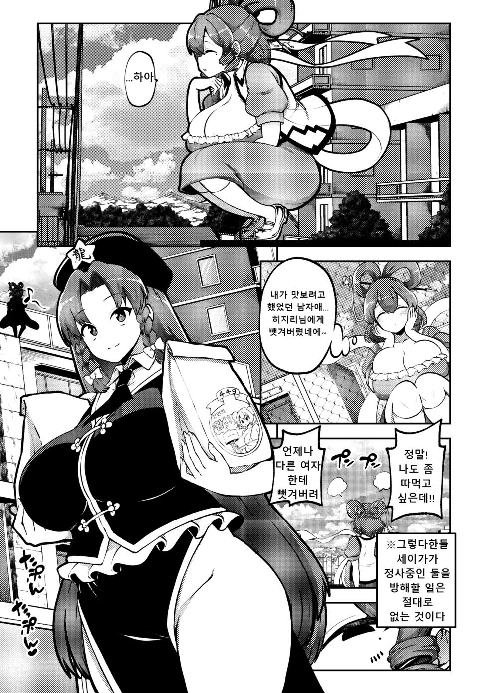 [Shoujo Rakugakichuu (Himajin no Izu)] skeb na Gensou Shoujo Shuu 11 | 음란한 환상 소녀집 11 (Touhou Project) [Korean] [Digital] - Page 29