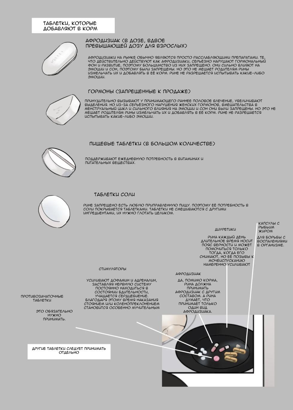 Рина — Восьмилетний план воспитания — корм  [Russian] [Vahr] - Page 10