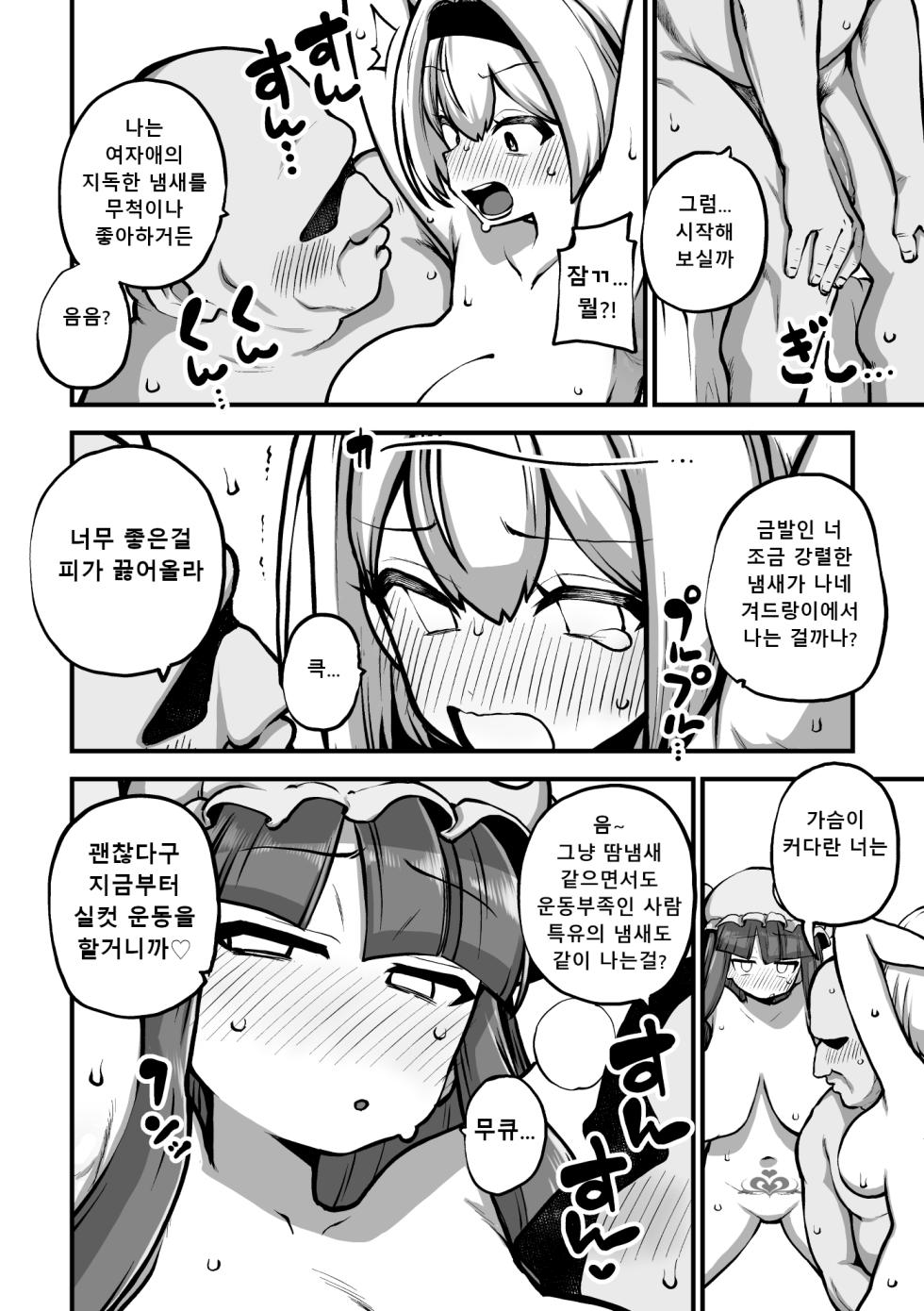 [ひまじんのいず] アリスとパチェと淫紋使いおじさん │앨리스랑 파츄리랑 음문사 아저씨 - Page 17