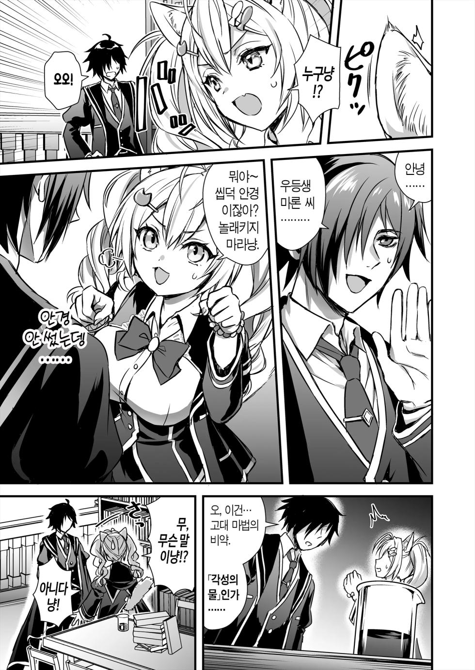 [Aigamodou(Ayakawa Riku)] 마법 학원의 낙오자 2 [Korean] [Decensored][산더이치] - Page 6