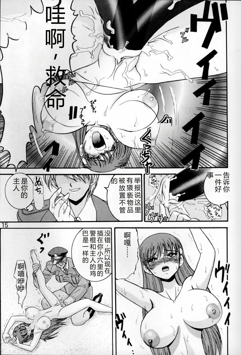 (C54) [Raijinkai (Haruki GeNia)] Jintoku no Kenkyuu 6 [Maya Goumon Choukyou] [Chinese] - Page 14
