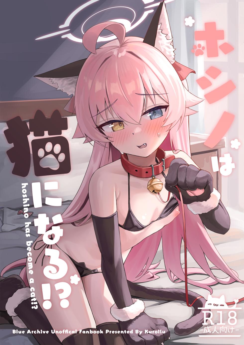 (C107) [Kuroliu] Hoshino wa Neko ni Naru - hoshino has become a cat!? (Blue Archive) - Page 1
