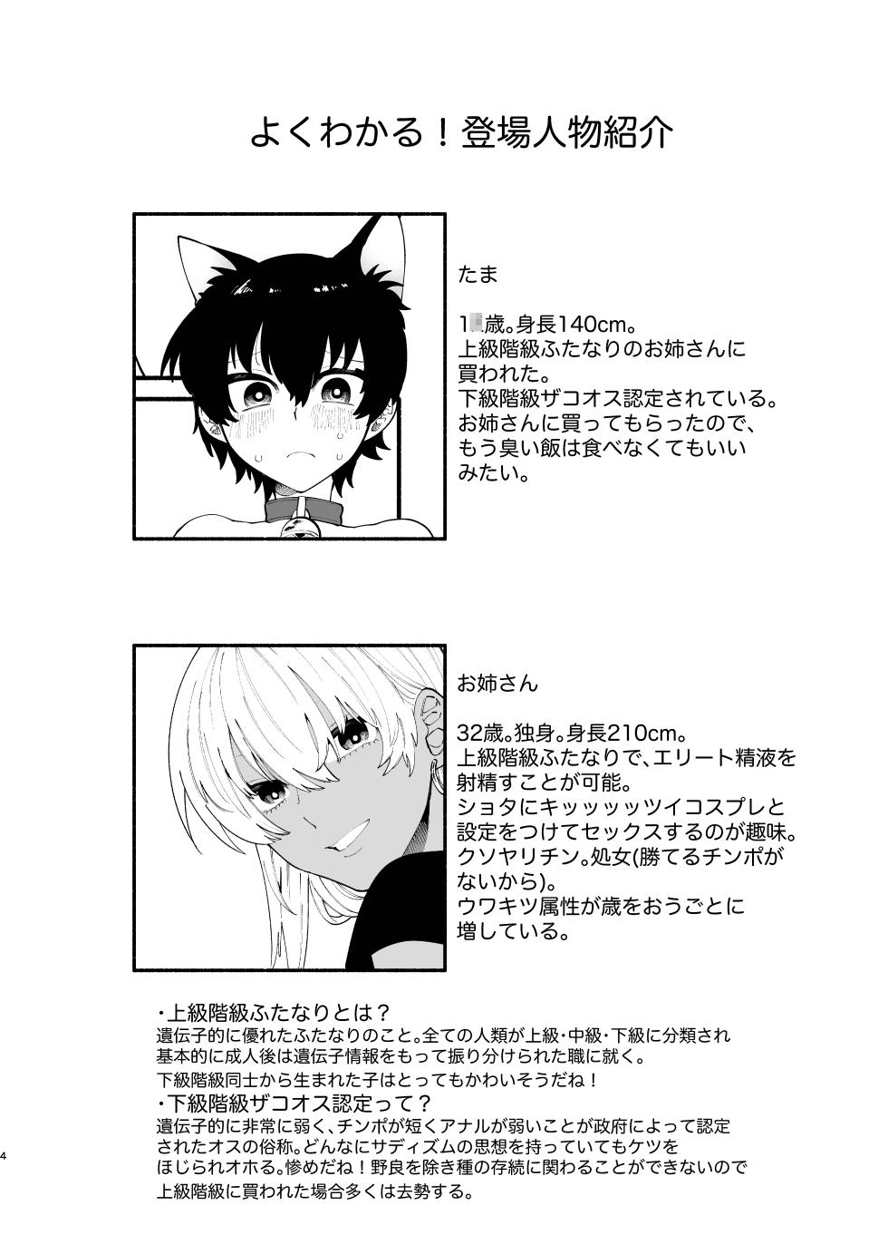 [ヒダリミギ  ( 二等辺 / 二等辺陽月)] じょうずにメスになれるかな - Page 3