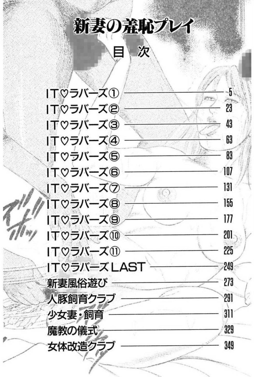 [Sanjou Tomomi] Niizuma No Shuuchi Play [Chinese] - Page 4