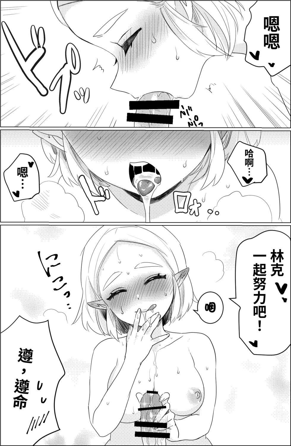 [Wasabi] Are no shufuku (The Legend of Zelda: Breath of the Wild) [Chinese] [沒有漢化] - Page 9