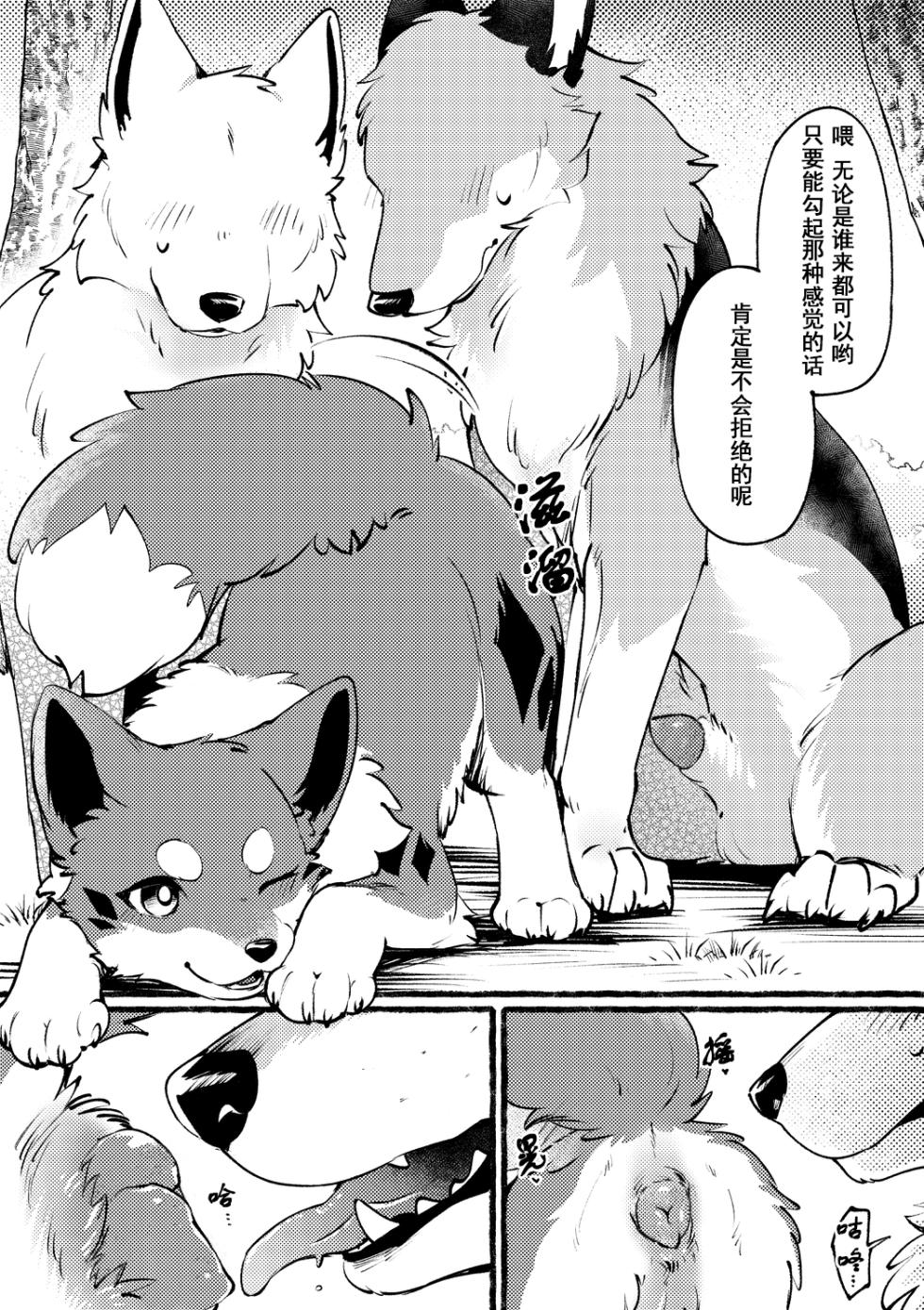 (Kemoket 17) [Kaiten ParaDOGs (Minaga Tsukune)] Kitsuneinu ga Dekkai Ookami-san-tachi to 3P Suru Dake. | 狐犬只是和大狼们进行3P而已。 [Chinese]  [Skaarsgard个人汉化] - Page 4