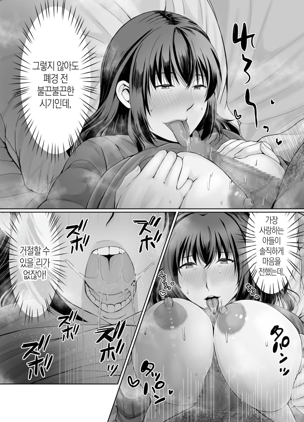 [Popotto Denki Ichigouten (denki popo tto)] pottyari kaa san ha daietto yori mo・・・|통통한 엄마는 다이어트보다도...[Korean][팀 숙녀] - Page 14