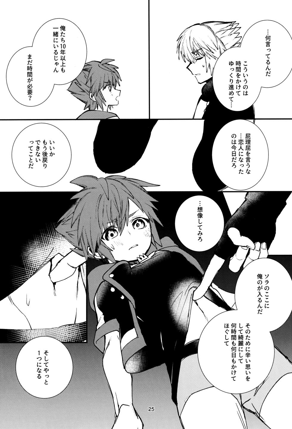 [BlueMoment (Seboniruca)] OVER FLOW (Kingdom Hearts) - Page 27