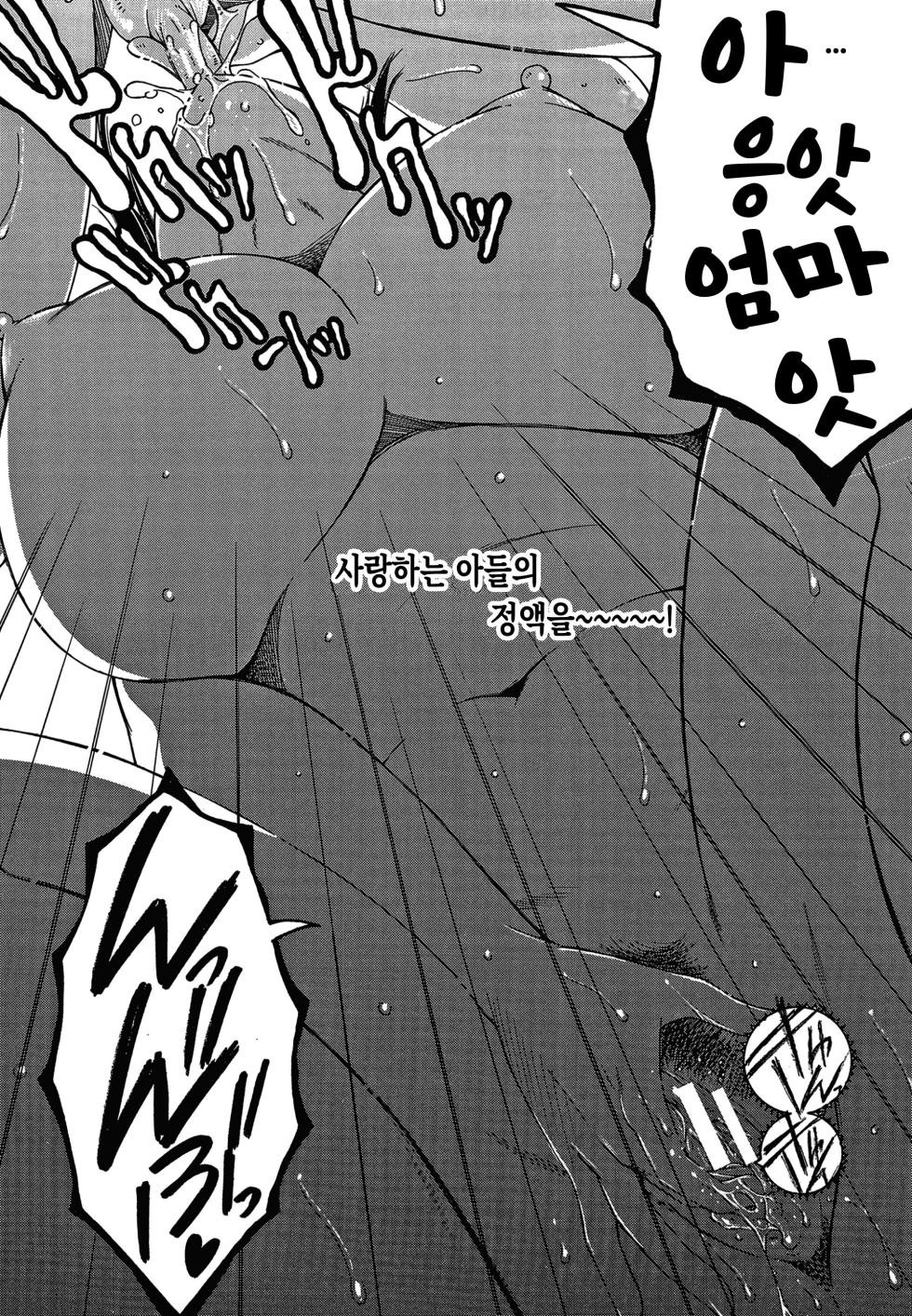 [Yasuhara Tsukasa] Boku no Yume wa Mama to Ecchi Suru Koto desu | 내 꿈은 엄마와 섹스하는 거예요[Korean][팀 숙녀] - Page 23