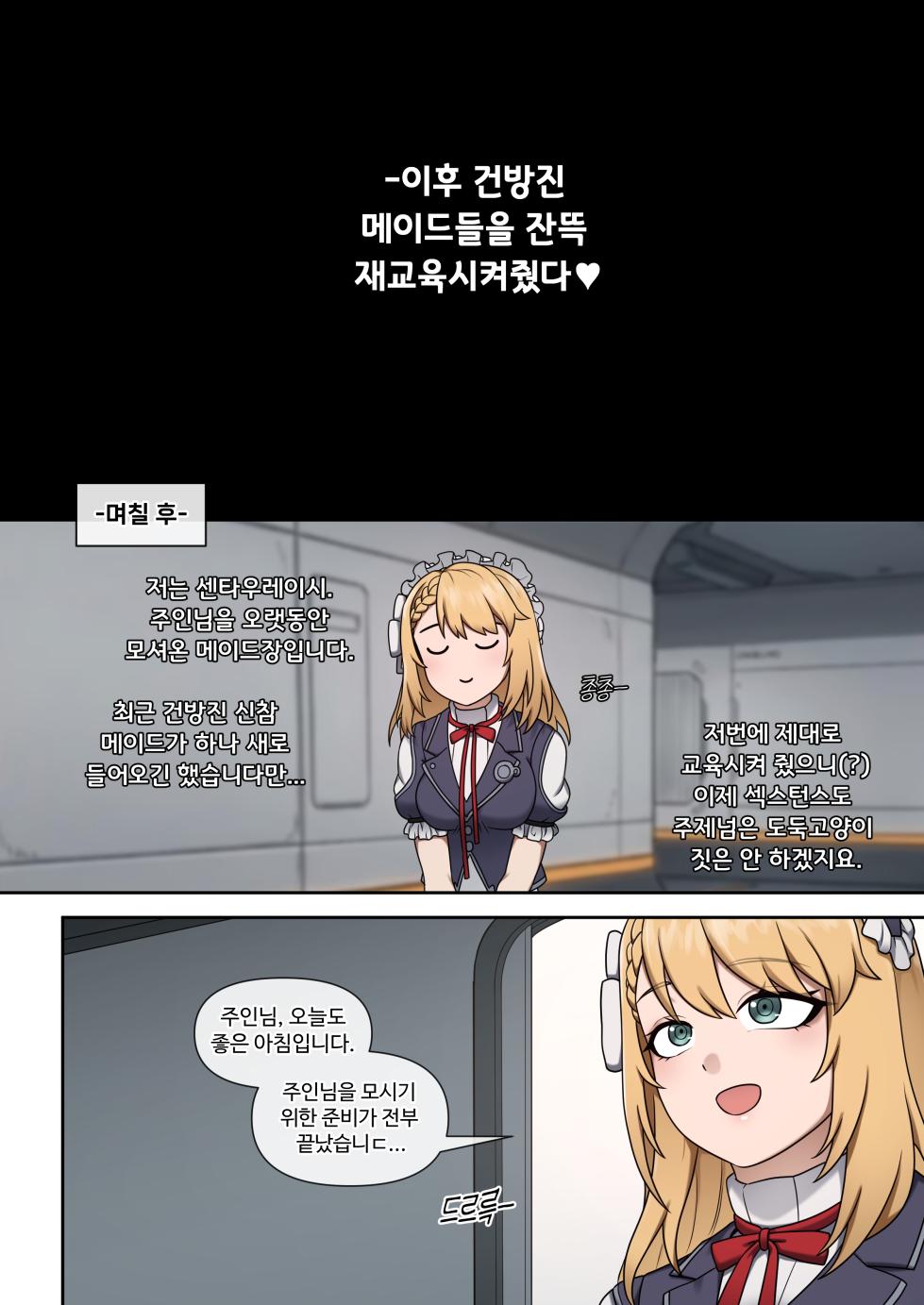 [Mackgee] GFL2 MAIDS [Korean] - Page 17