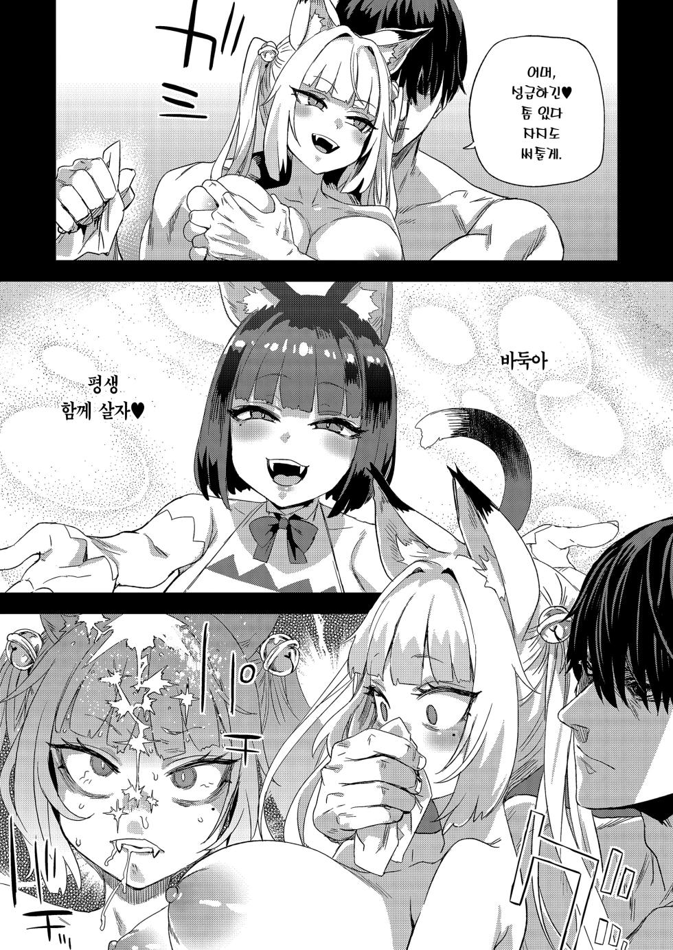 [Fatalpulse (Asanagi)] Nekozoku Musume wa Ningen o Kau. - CAT GIRLS KEEP A HUMAN | 묘족녀는 인간을 기른다. [Korean] [Team Edge] [Decensored] - Page 14