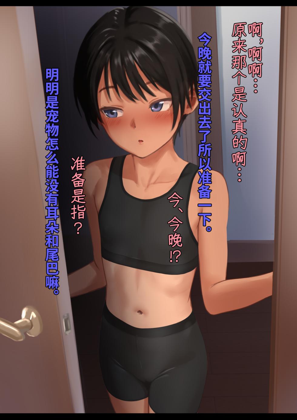 [PieManCoop] Imouto Tsukatte Pet Rental (Kari) | 妹妹宠物租赁（暂定） [Chinese] [Bismuth个人汉化] - Page 2